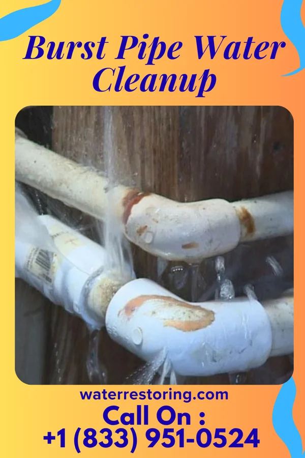 Burst Pipe Water Cleanup in Smelterville, ID