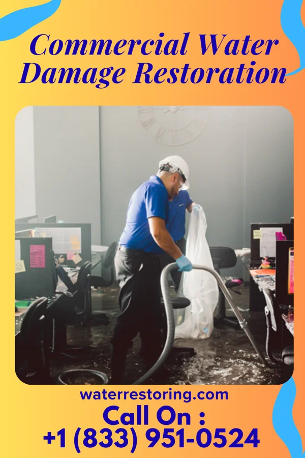 Commercial Water Damage Restoration in Smelterville, ID