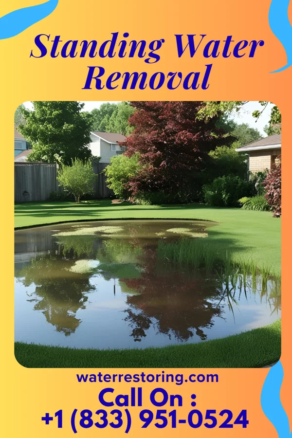 Standing Water Removal in Smelterville, ID